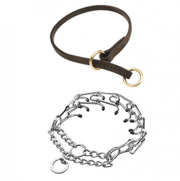 выбор шлейки для собак