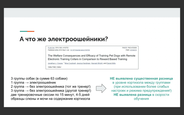 выбор шлейки для собак