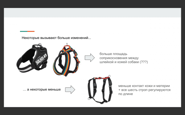 выбор шлейки для собак