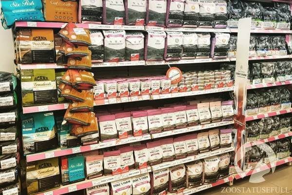 чем кормить кошку