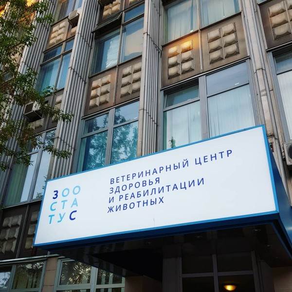 кормление животных-инвалидов