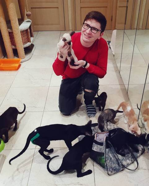 как правильно купить котенка в питомнике