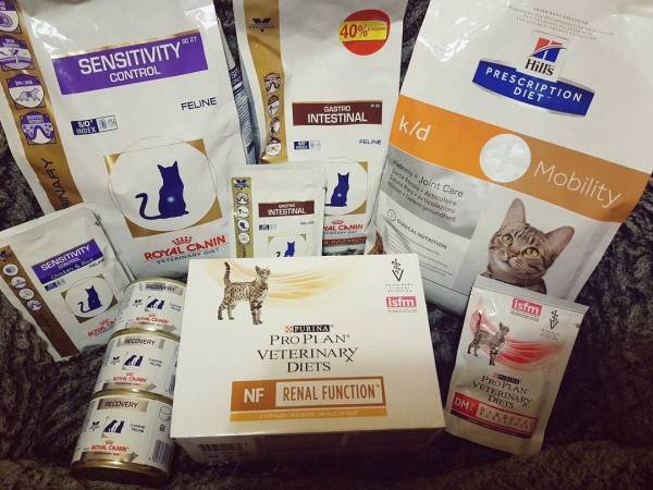 лечебные ветеринарные диеты