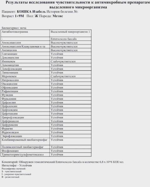 мифы об отжимании спинальников