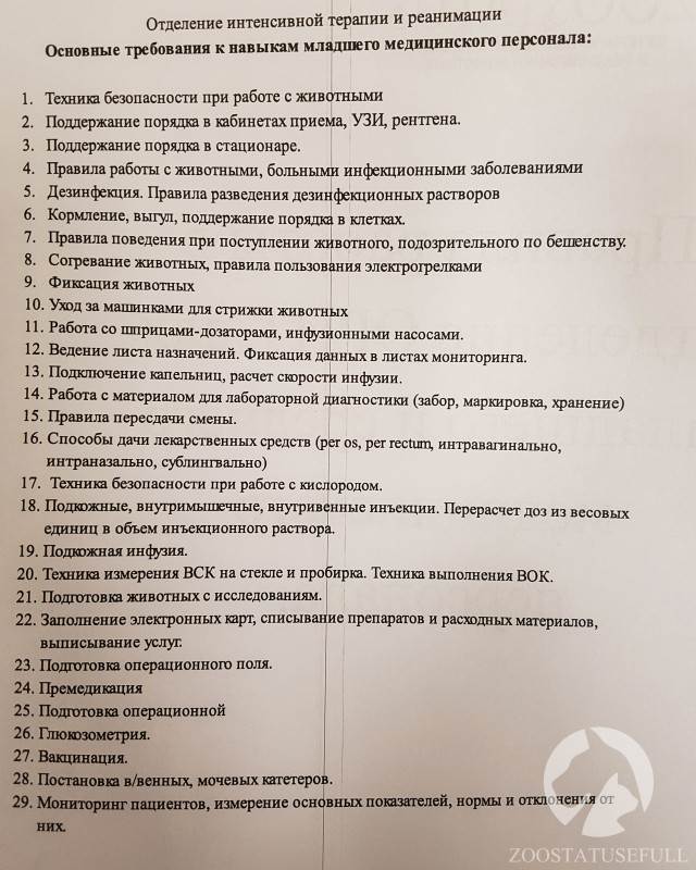 ветеринарный стационар