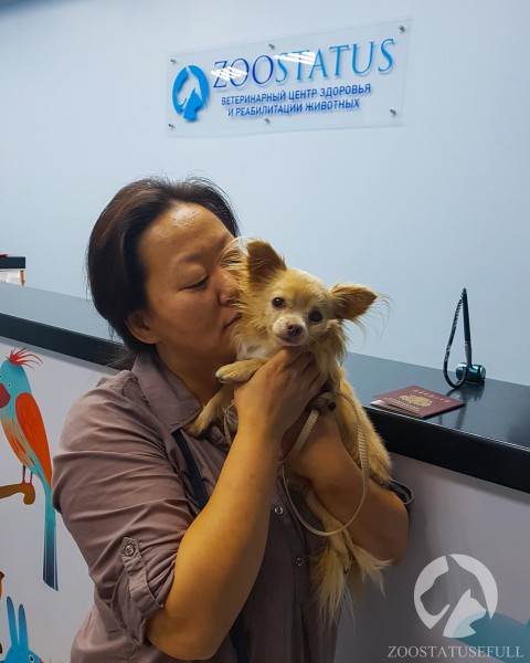 прием ветеринара