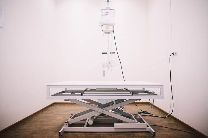 рентгеновский снимок лапы собаки