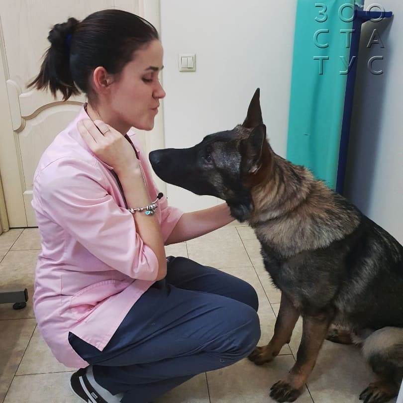 слизь в кале у собак