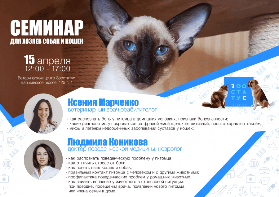 стресс у собак