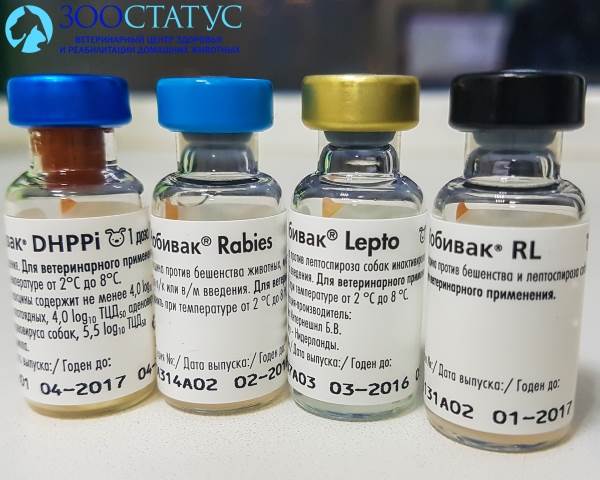вакцины для собак