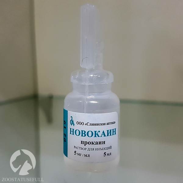 аптечка для животных