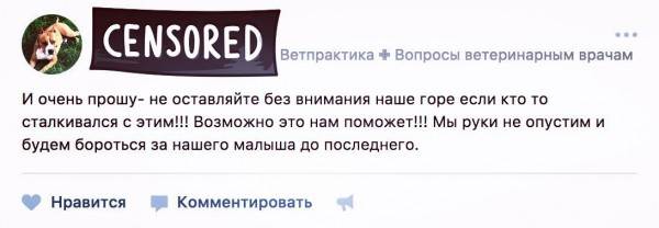 аптечка для животных