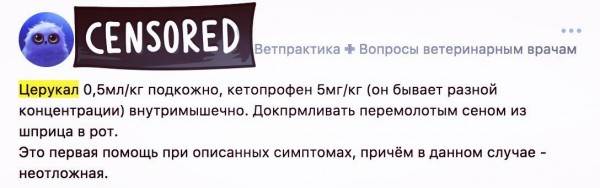 аптечка для животных