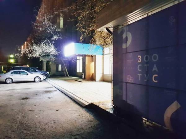 как видят мир кошки, собаки и лошади